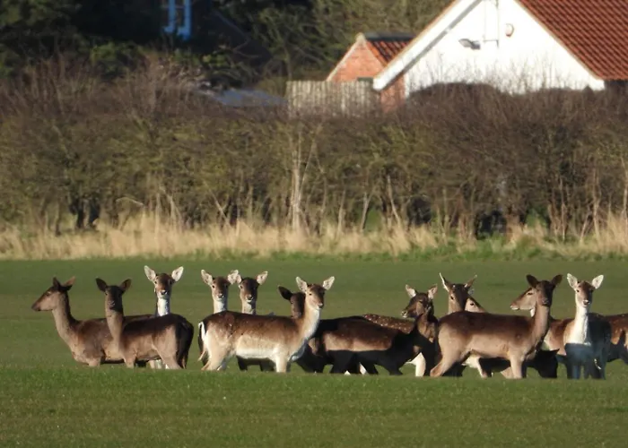 Hollicarrs - Dragonfly Lodge York